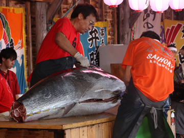 Oma Tuna Pole-and-Line Fishing Boat 31st Ryofukumaru Draft Line, Aoshima  049921 (2010)