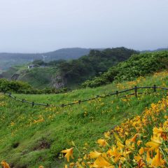 Cape Tsubana (Tsubanazaki)
